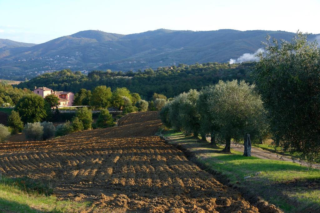 I Casali Di Colle San Paolo Tavernelle (Panicale) Exterior foto